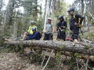 photo thumbnail #12