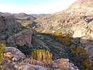 photo thumbnail #6