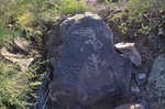 photo thumbnail #2