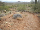 photo thumbnail #2