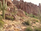 photo thumbnail #4