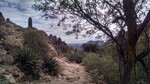 photo thumbnail #4