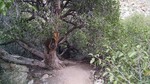 photo thumbnail #5