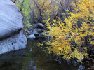 photo thumbnail #9