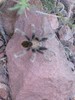 photo thumbnail #14