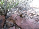 photo thumbnail #15
