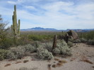 photo thumbnail #3