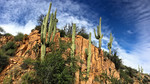 photo thumbnail #7