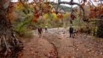 photo thumbnail #4