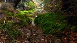photo thumbnail #9