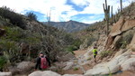 photo thumbnail #10