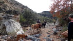 photo thumbnail #11