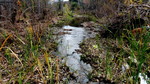 photo thumbnail #12