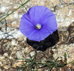 photo thumbnail #15