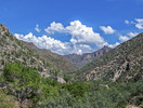 photo thumbnail #11