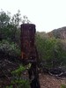 photo thumbnail #7
