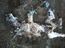 photo thumbnail #8