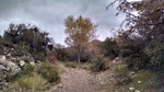 photo thumbnail #11