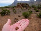 photo thumbnail #3