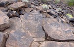 photo thumbnail #7