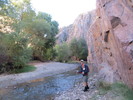 photo thumbnail #2