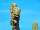 photo thumbnail #12