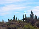 photo thumbnail #13