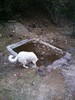 photo thumbnail #8