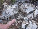 photo thumbnail #1