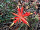 photo thumbnail #15