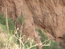 photo thumbnail #15