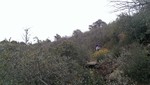 photo thumbnail #1