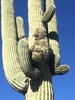 photo thumbnail #11