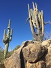 photo thumbnail #10