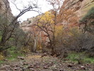 photo thumbnail #6