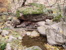 photo thumbnail #12