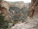 photo thumbnail #14