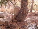 photo thumbnail #6