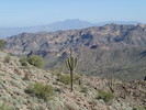 photo thumbnail #6