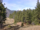 photo thumbnail #5