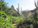 photo thumbnail #7