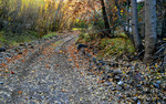 photo thumbnail #13