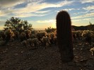 photo thumbnail #4