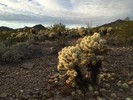 photo thumbnail #3