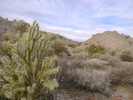 photo thumbnail #2