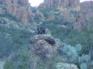 photo thumbnail #9