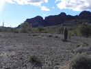 photo thumbnail #12