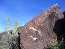 photo thumbnail #3