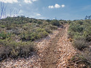 photo thumbnail #13