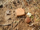 photo thumbnail #10